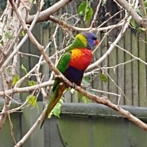 Meet your Posher, Adam